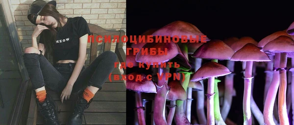 a pvp Карталы