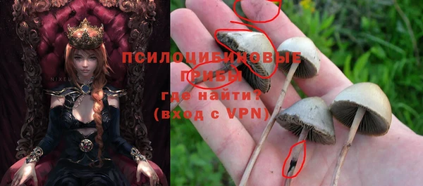 a pvp Карталы