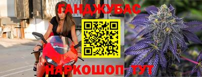 стаф Донецк
