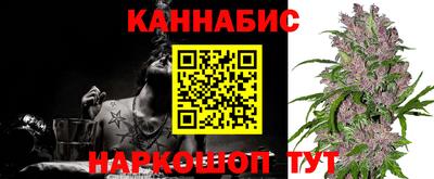 стаф Донецк