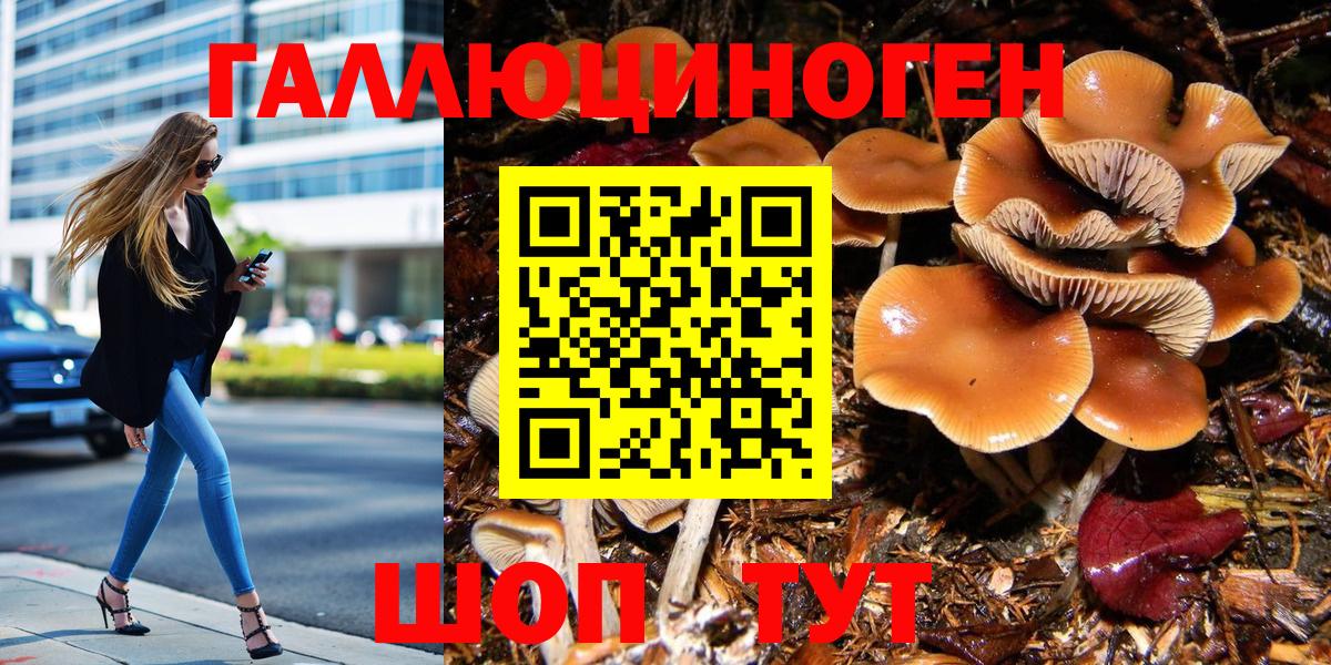Галлюциногенные грибы MAGIC MUSHROOMS  Вход с VPN  Михайловка  Галлюциногенные грибы Magic Shrooms 