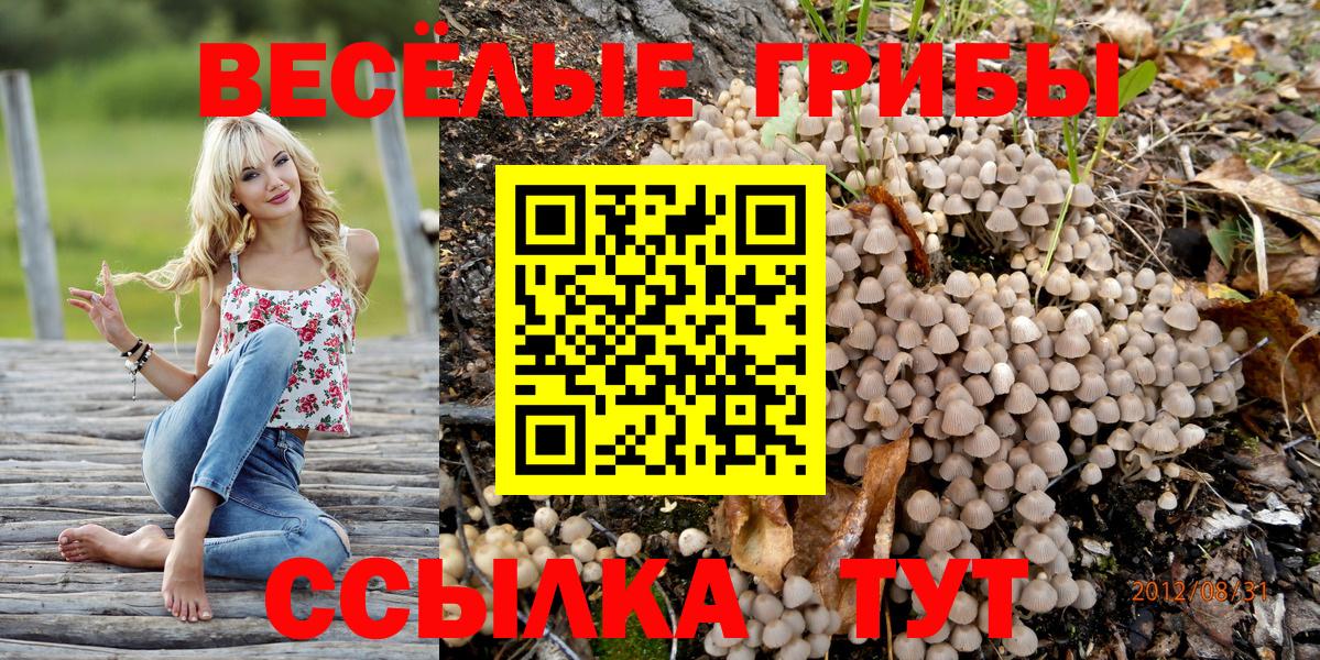 Псилоцибиновые грибы мухоморы Михайловка